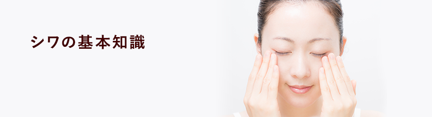 シワの基本知識